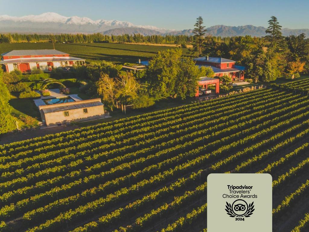 Enlace Wine House